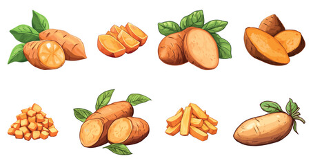 Sweet potato set. Raw batat slices chopped cubes and sticks. Ripe tasty organic vegetable. Agriculture farm product. Element for menu design. Cartoon style isolated vector clipart collection