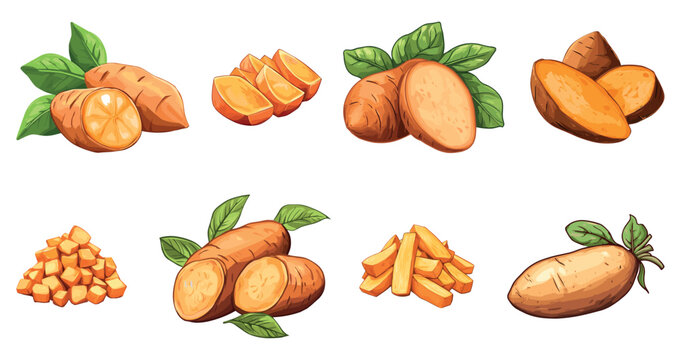 Sweet potato set. Raw batat slices chopped cubes and sticks. Ripe tasty organic vegetable. Agriculture farm product. Element for menu design. Cartoon style isolated vector clipart collection