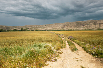A winds through a vast field under a dramatic, cloudy sky, with distant hills providing a scenic backdrop...