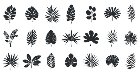 Tropical palm leaves silhouette icons set. Exotic summer botanical nature elements. Monstera palm and banana jungle foliage. Simple black and white flat style isolated vector clipart collection