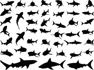 set of silhouettes of sharks swimming in different poses, vector