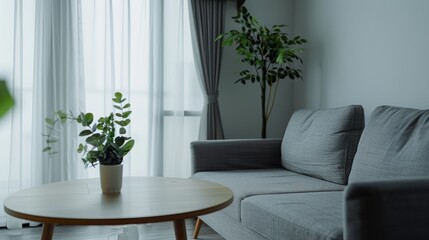 A serene, minimalist living room with soft natural lighting, featuring a grey sofa, round wooden table, and potted plant.