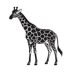 Beautiful Giraffe Vector Art Illustrations for Free.