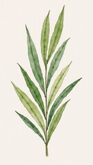 Obraz premium A watercolor painting of a plant with green leaves.