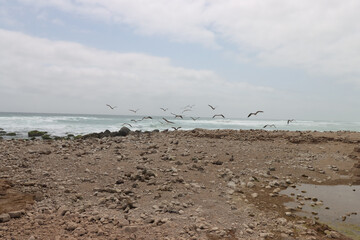 Ad Dammar Beach in Dhofar Governorate, Sultanate of Oman