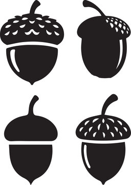 Acorn silhouette, Acorn icon, Acorn vector, 
