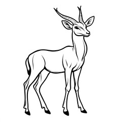 Fototapeta premium elegant Antelope Illustration in Black and White