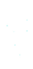 snow flakes in small group two color shape