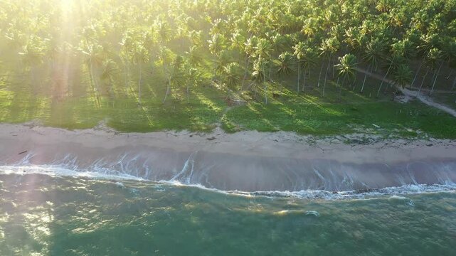 Praia do Patacho no Litoral norte do estado de Alagoas no nordeste do Brasil - Visto de cima com drone 4k