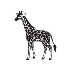 Giraffe Vector Art Illustrations.