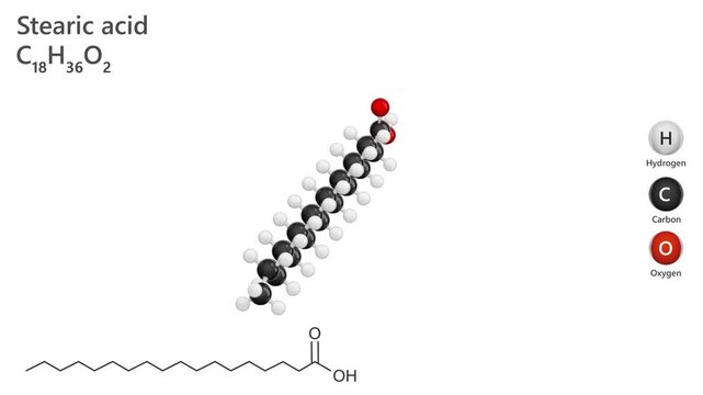 A 3D model of Octadecanoic acid, C18H36O2, is straight-chain saturated fatty acid found in many animal and vegetable lipids. Important component in organic chemistry. White background. 3D rendering