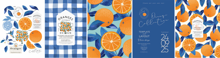 Orange and blue leaves. Vector illustration of citrus, cut fruit, pattern for plant background, wedding invitation, greeting card, packaging, label, italian mediterranean poster