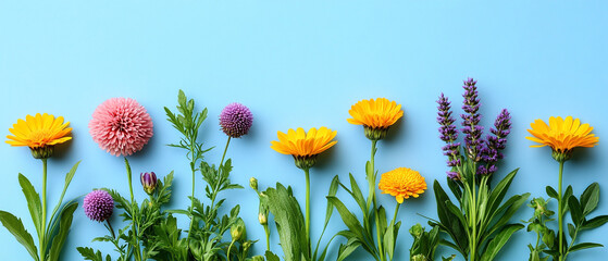 A vibrant display of colorful flowers against a blue background, showcasing nature's beauty and diversity in perfect harmony.