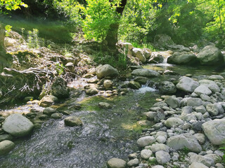 A fast river with clear water flows among the stones in a picturesque forest place