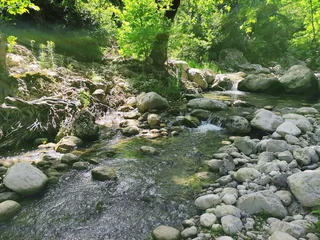 Gordijnen Bos rivier A fast river with clear water flows among the stones in a picturesque forest place  © Mari