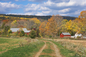 Autumn Farm Road