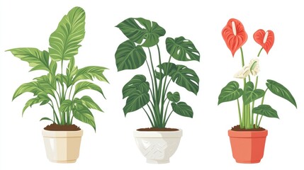 Obraz premium Flat illustration of houseplants in pots for interior settings featuring a palm and ficus in ceramic containers along with anthurium in a flowerpot Isolated clipart on a white background