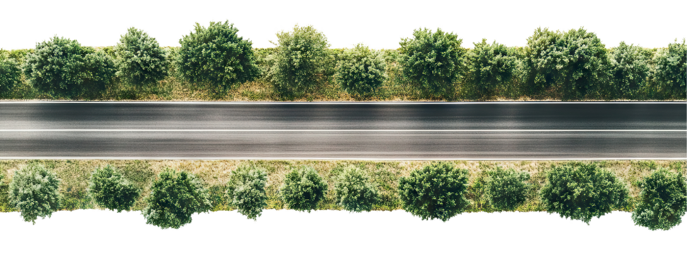 Aerial view of a straight asphalt road lined with trees, isolated on transparent cutout background