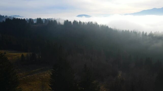 fog mountains forest drone view flyby