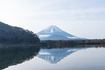 Mt. Fuji / 富士山 