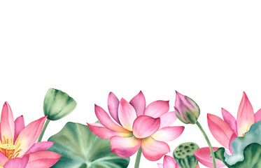 Naklejka premium Watercolor pink lotuses on a white background. Water lilies are hand painted. A composition with a lotus. A template for the design of postcards, invitations, and fabrics.