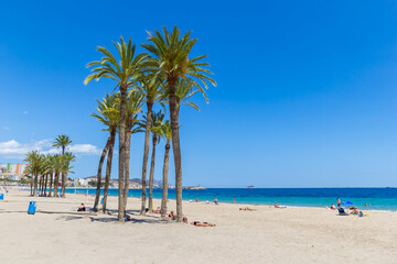 Obraz premium People relaxing under the palm trees on the beach in Villajoyosa, Spain