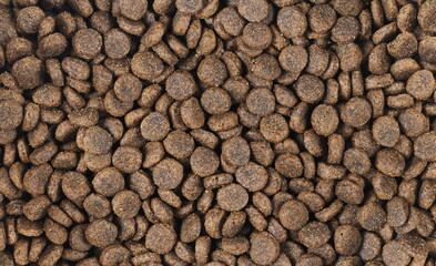 Pile dry cat food background and texture, top view