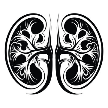 recommend clip art: Human kidney vector silhouette line art style 
