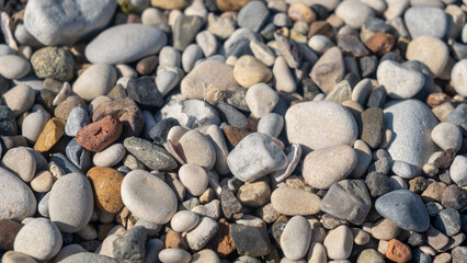 Different sizes and shapes of smooth pebbles are scattered on a sunlit beach, showcasing their natural colors and textures