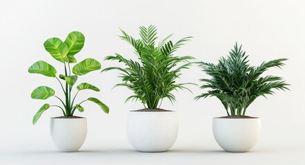 Modern 3D Render of Three Potted Plants
