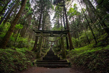 Shrine in Japan