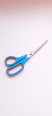 A pair of scissors with a white background