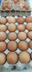 A pack of eggs at Supermarket ready to sold