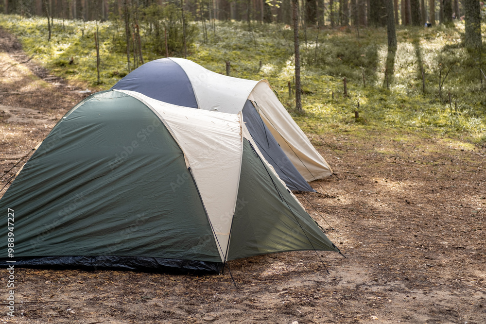 Poster two colorful tents are pitched on the ground surrounded by tall trees and green foliage, creating a 
