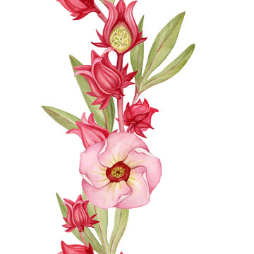 watercolor pink flowers and red buds clip art preview