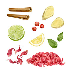 Ginger, mint, cinnamon, lime, lemon, hibiscus tea, red berries watercolor illustration isolated .
