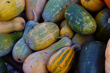 A close up image of a pile of pumpkins with chrysanthemums . The pumpkins are mostly orange, with a few green ones mixed in. The pumpkins are all different sizes and shapes.