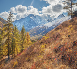 Autumn landscape, mountain peaks and autumn forest, sunny day