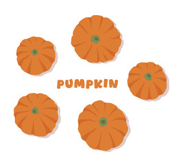 Hand drawn illustration of pumpkin, a vegetable representing Halloween and the fall season.