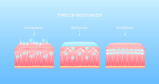 Types of moisturizer. Humectants, Occlusives, Emollients. Helps keep skin youthful. Collagen solution and hyaluronic acid serum. For cosmetic advertising medical beauty. Vector EPS10.