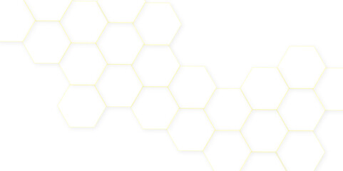 Abstract white hexagon concept background. Seamless pattern with hexagon. Hexagonal white hexagons honeycomb wallpaper. Abstract white lines background