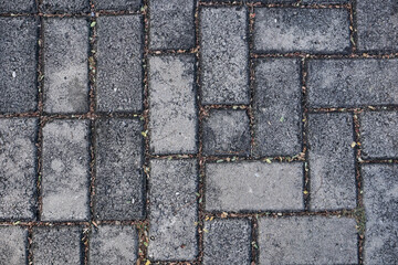 A close-up shot of a gray brick pavement. Perfect for backgrounds, textures, and design projects.