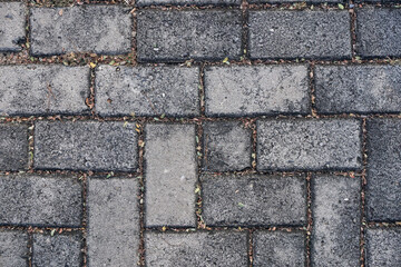 A close-up shot of a gray brick pavement. Perfect for backgrounds, textures, and design projects.