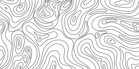 Fluid Topography: Modern Abstract Wave Lines