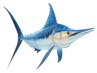 A beautiful marlin fish isolated on transparent background