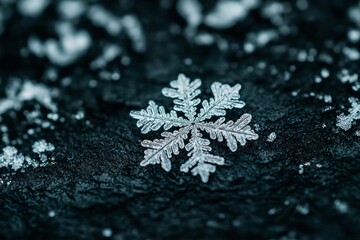 A single snowflake resting on a dark surface