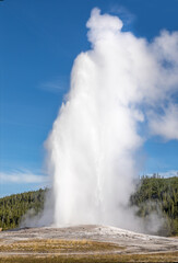 The famous Old Faithful Geyser in the Yellowstone National Park, Wyoming USA