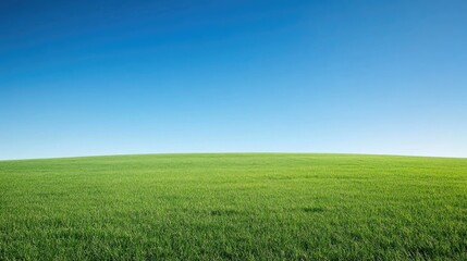 Fototapeta premium A wide, empty field with short grass, under a bright blue sky, providing room for copy