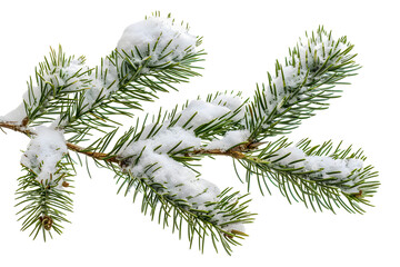 tree, christmas, winter, fir, pine, forest, nature,	
