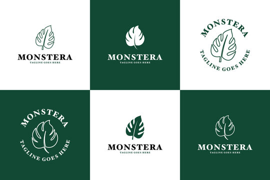 Monstera Logo Images  Browse 16,829 Stock Photos, Vectors, and Video |  Adobe Stock